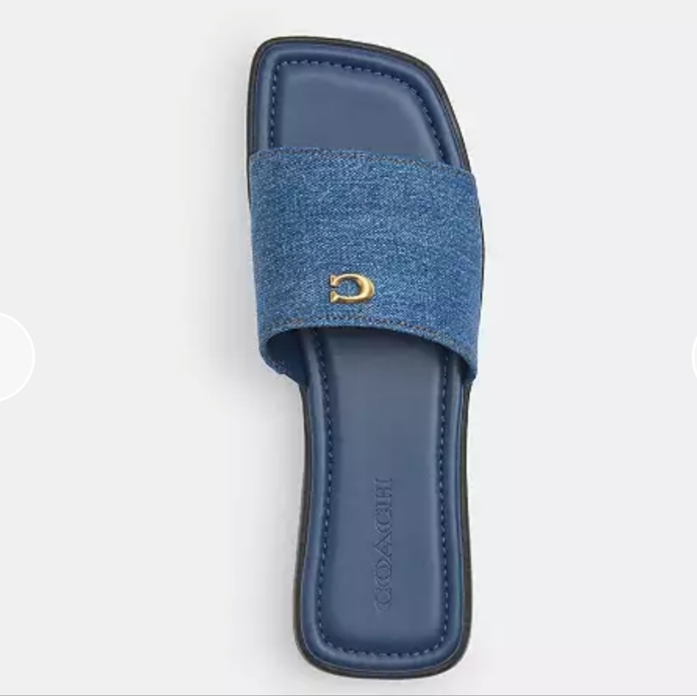 Coach Slides - Picture 3 of 4